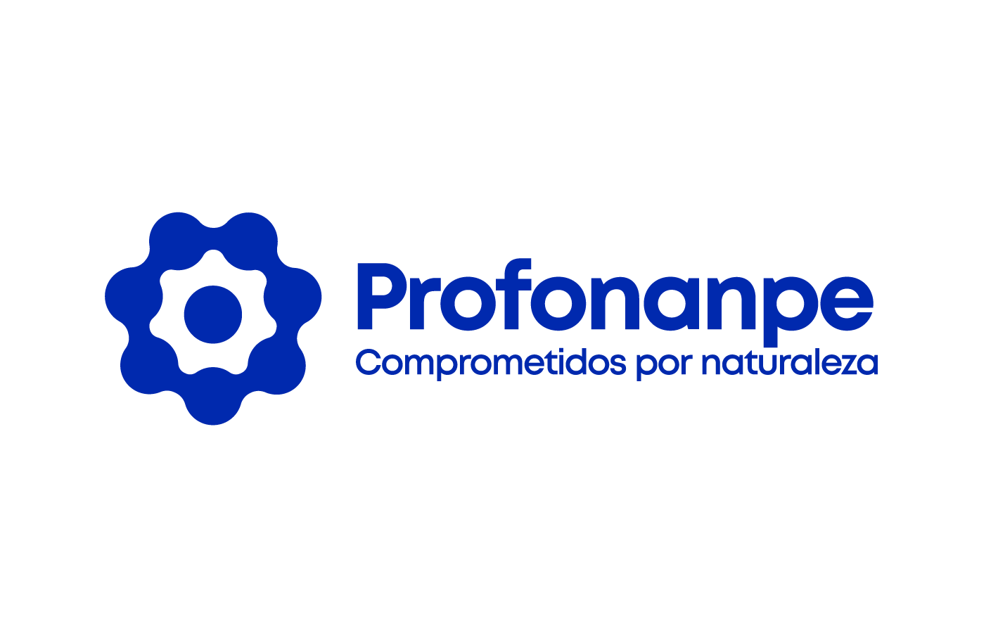 Logo Profonanpe 2020 Final_Mesa de trabajo 1